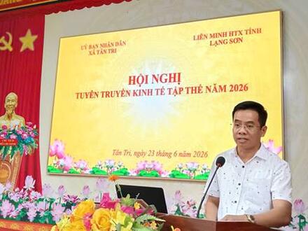 Kinh tế - Chính trị