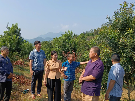 Kinh tế - Chính trị
