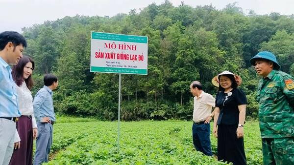 KIỂM TRA TIẾN ĐỘ MÔ HÌNH TRỒNG LẠC TẠI XÃ TÂN TRI